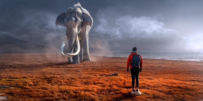 Magical Encounters